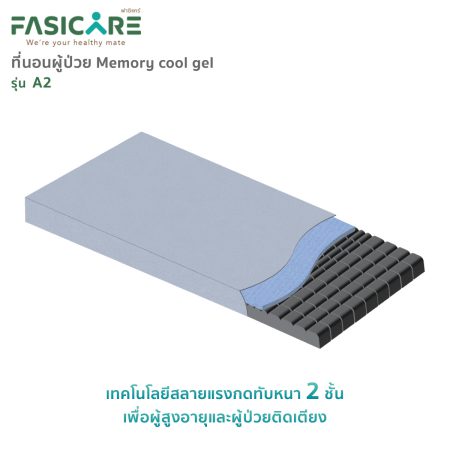 ที่นอนเมมโมรี่โฟม